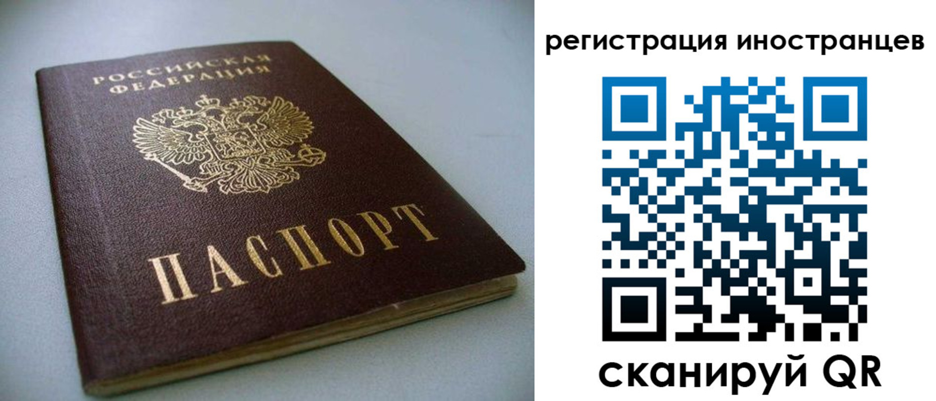 пропишу в квартире в Палласовке