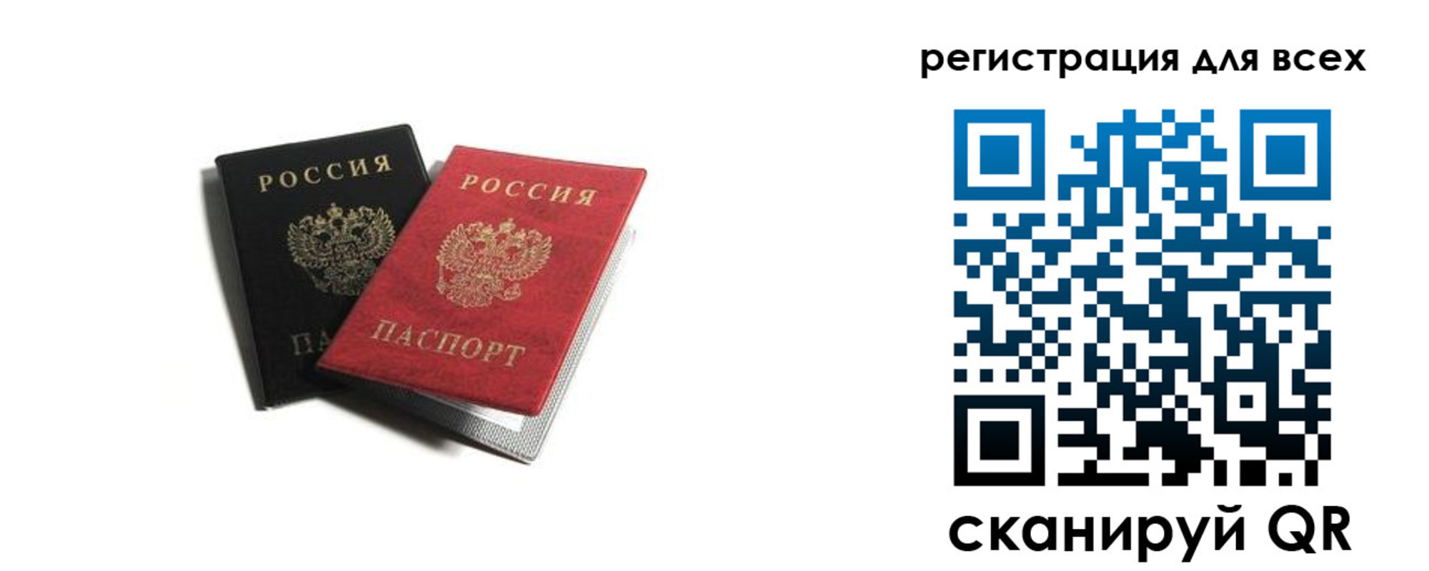 прописка гарантия в Палласовке